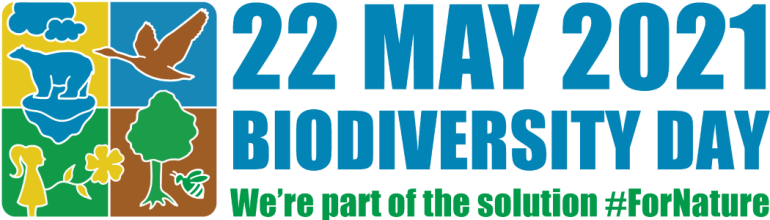 Bộ TNMT: Tổ chức các hoạt động hưởng ứng Tháng hành động vì môi trường hưởng ứng Ngày Môi trường thế giới và Ngày Quốc tế Đa dạng sinh học năm 2021